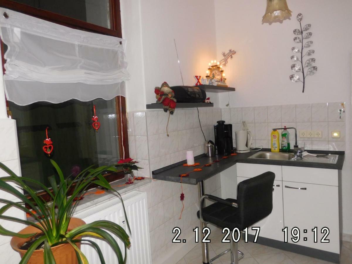 Ferienwohnung Am Schloss Torgau Luaran gambar